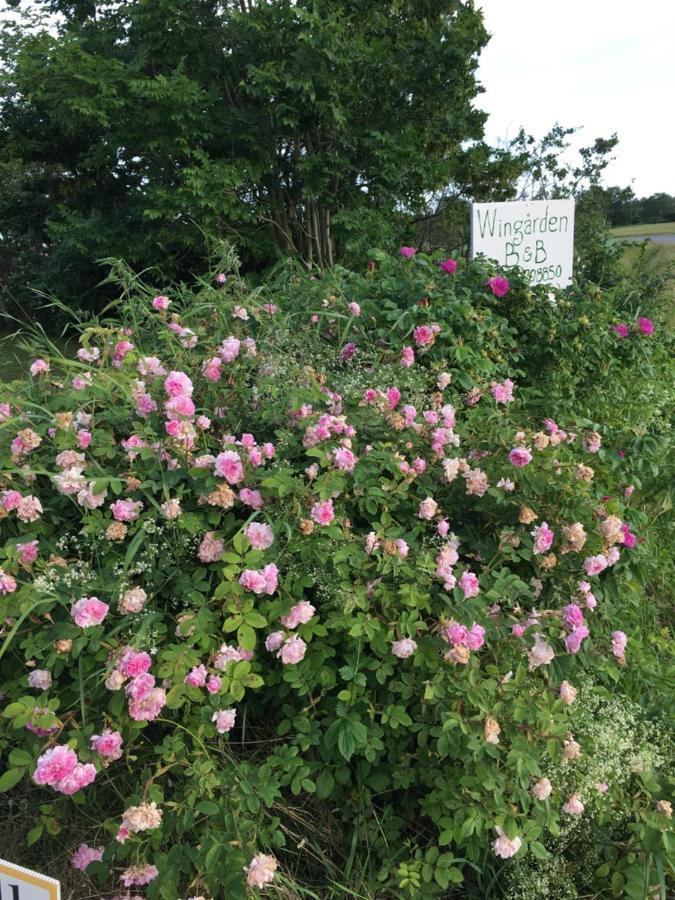 Wingarden B & B Säffle Kültér fotó